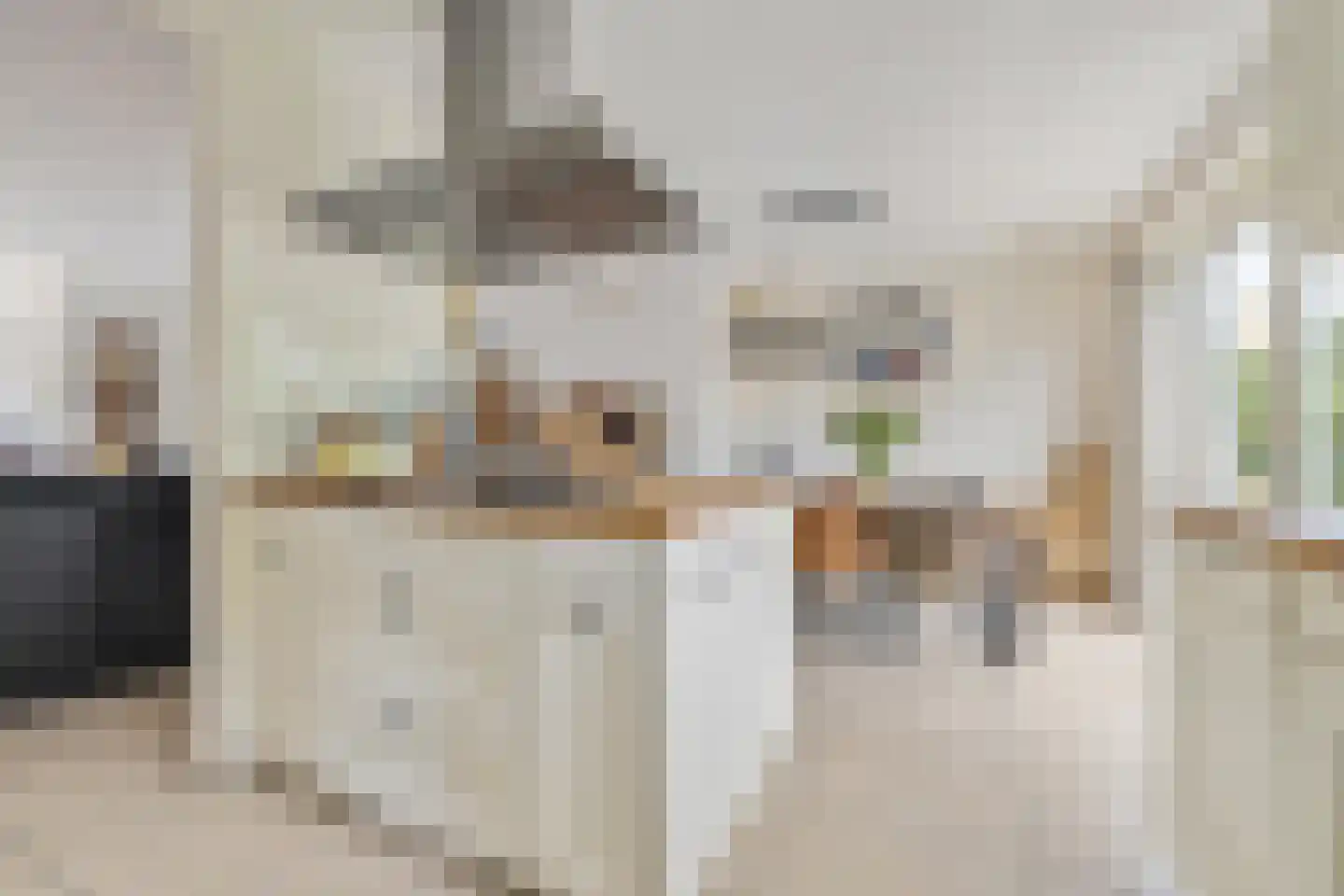 Liesbospark 44 Breda thumbnail 39