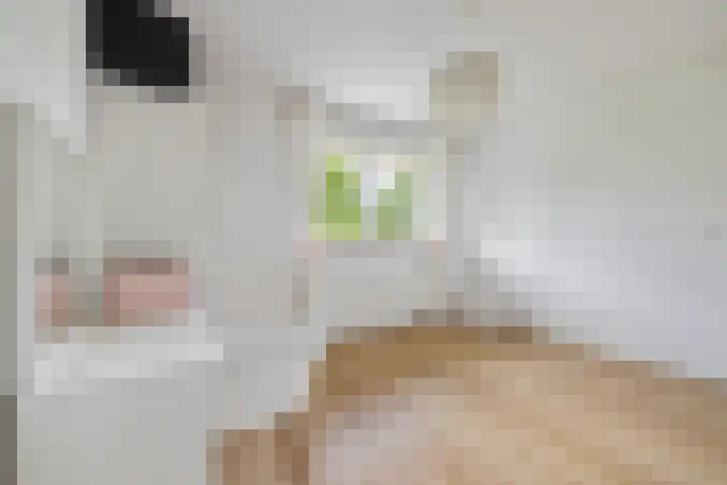 Liesbospark 44 Breda thumbnail 49