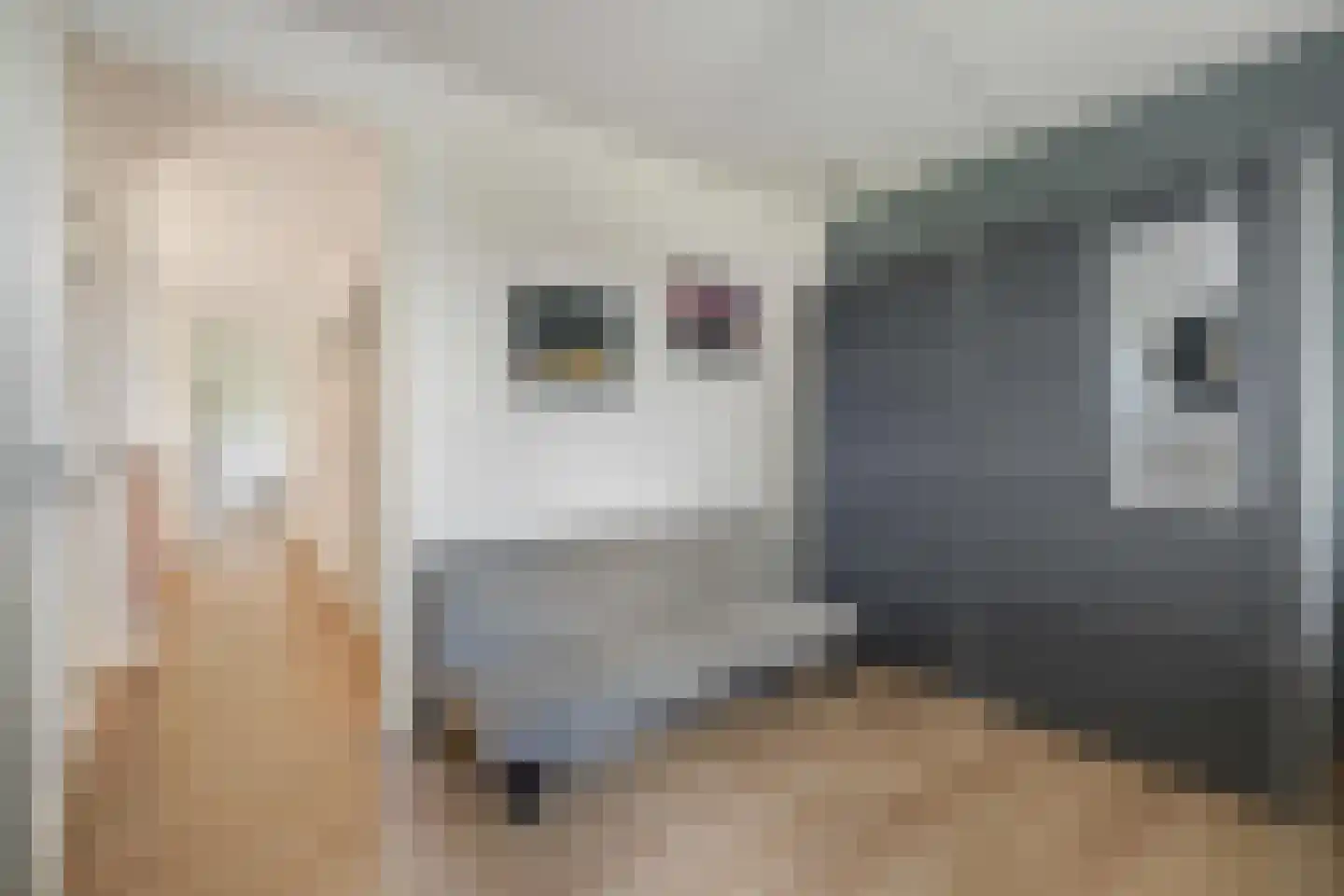 Liesbospark 44 Breda thumbnail 52