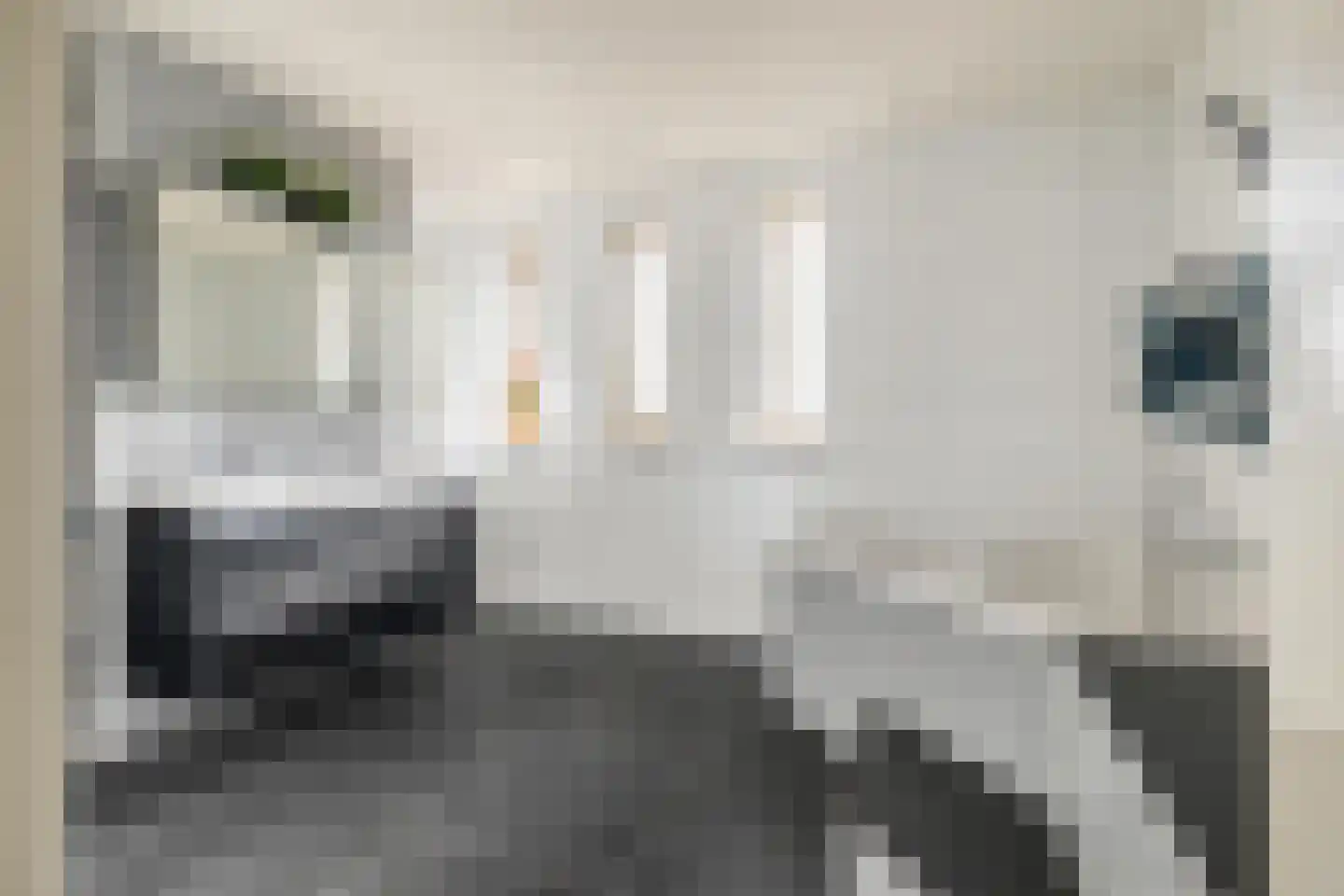 Liesbospark 44 Breda thumbnail 61