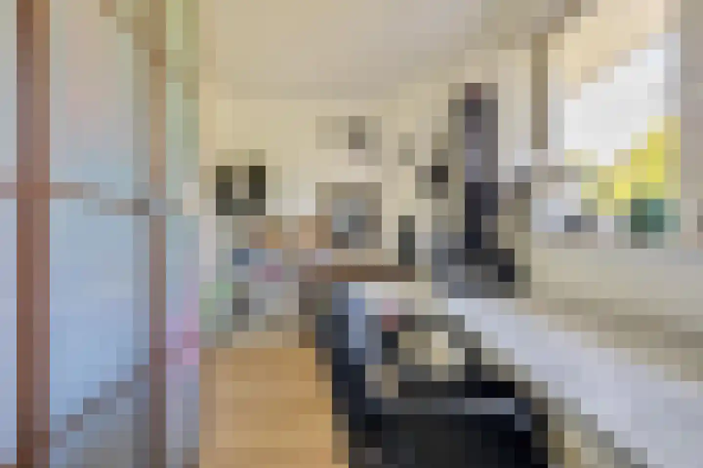 Liesbospark 44 Breda thumbnail 66