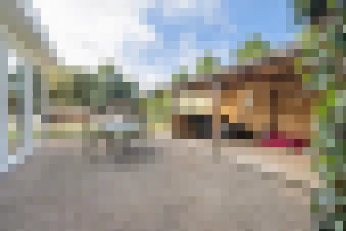 Liesbospark 44 Breda thumbnail 68