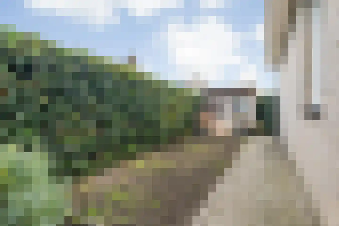 Liesbospark 44 Breda thumbnail 74