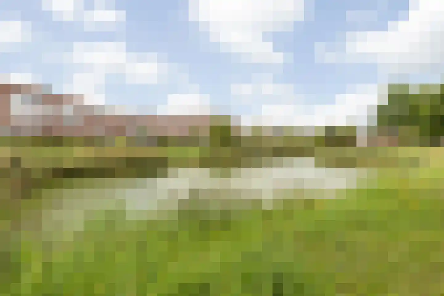 Liesbospark 44 Breda thumbnail 75