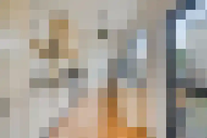 Liesbosstraat 10 Breda thumbnail 17