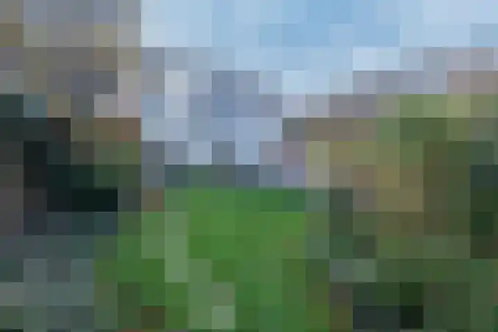 Liesbosstraat 10 Breda thumbnail 35