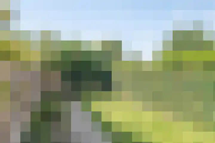 Liesbosstraat 37 Breda thumbnail 31