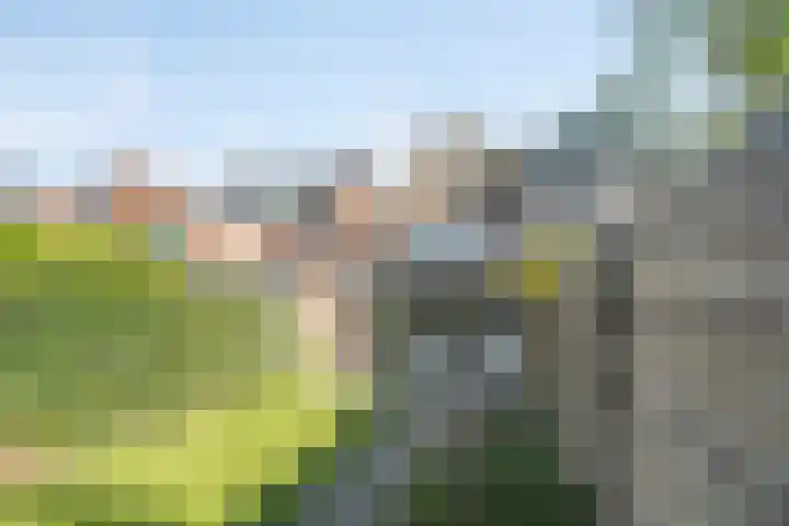 Liesbosstraat 37 Breda thumbnail 32