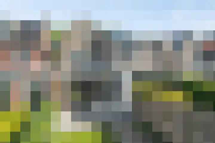 Liesbosstraat 37 Breda thumbnail 33