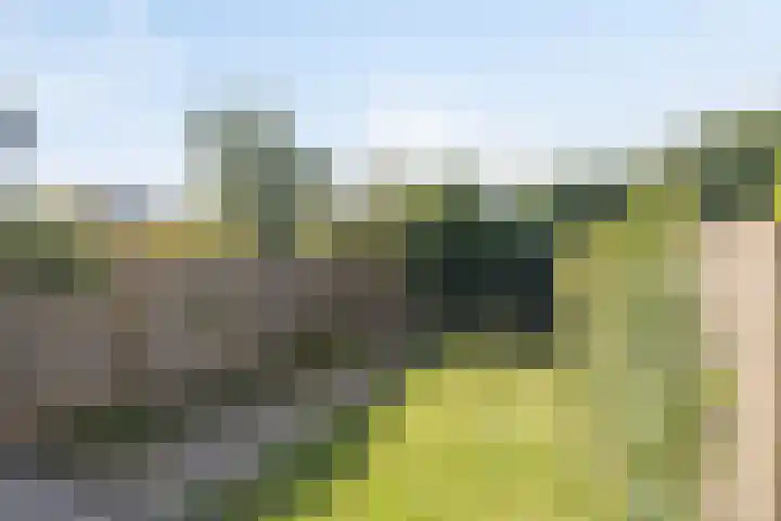 Liesbosstraat 37 Breda thumbnail 35