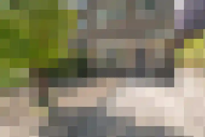 Liesbosstraat 37 Breda thumbnail 36
