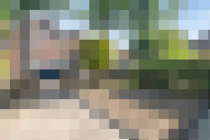 Liesbosstraat 37 Breda thumbnail 37