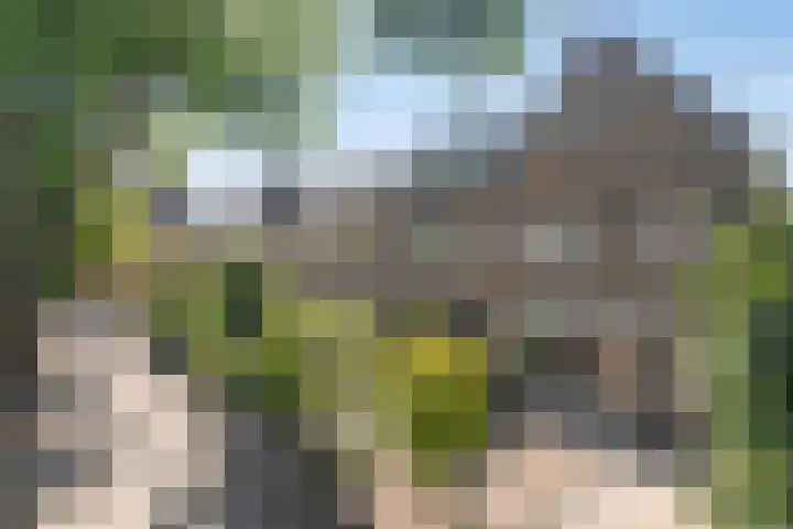 Liesbosstraat 37 Breda thumbnail 38