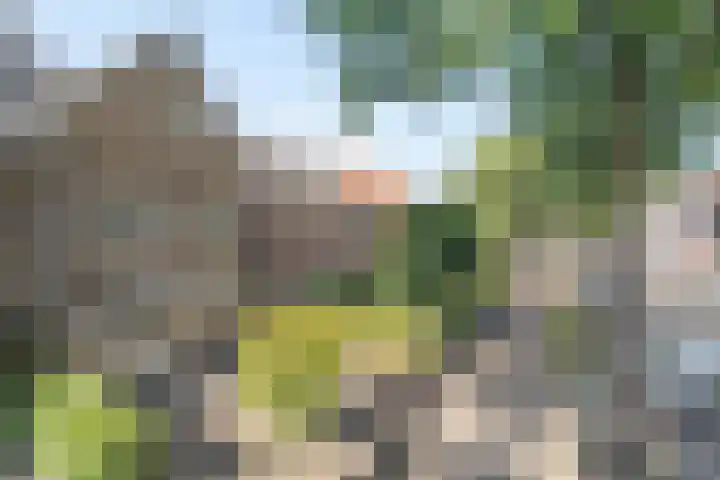 Liesbosstraat 37 Breda thumbnail 39
