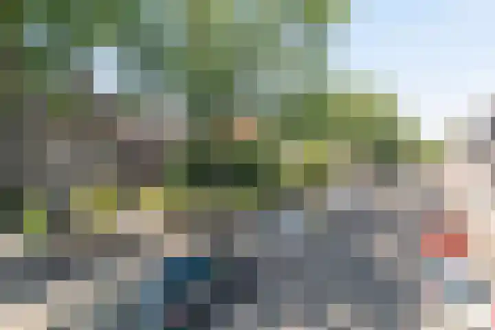 Liesbosstraat 37 Breda thumbnail 40