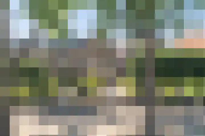Liesbosstraat 37 Breda thumbnail 41