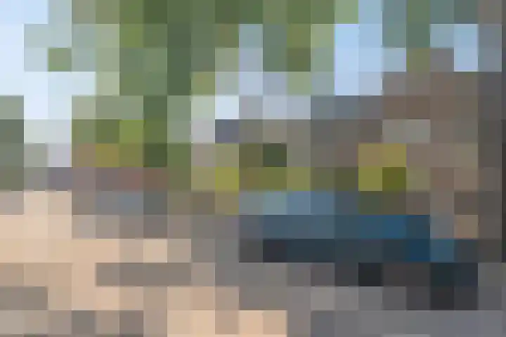 Liesbosstraat 37 Breda thumbnail 42