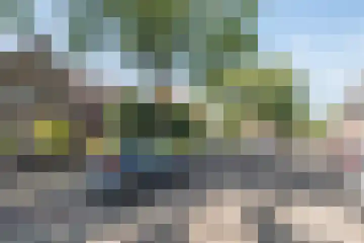 Liesbosstraat 37 Breda thumbnail 43