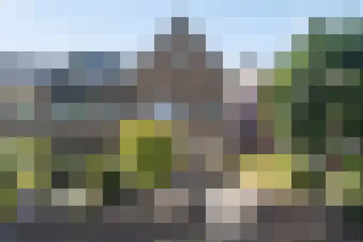 Liesbosstraat 37 Breda thumbnail 44