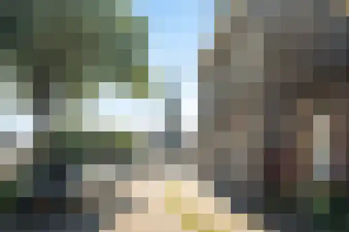 Liesbosstraat 37 Breda thumbnail 46