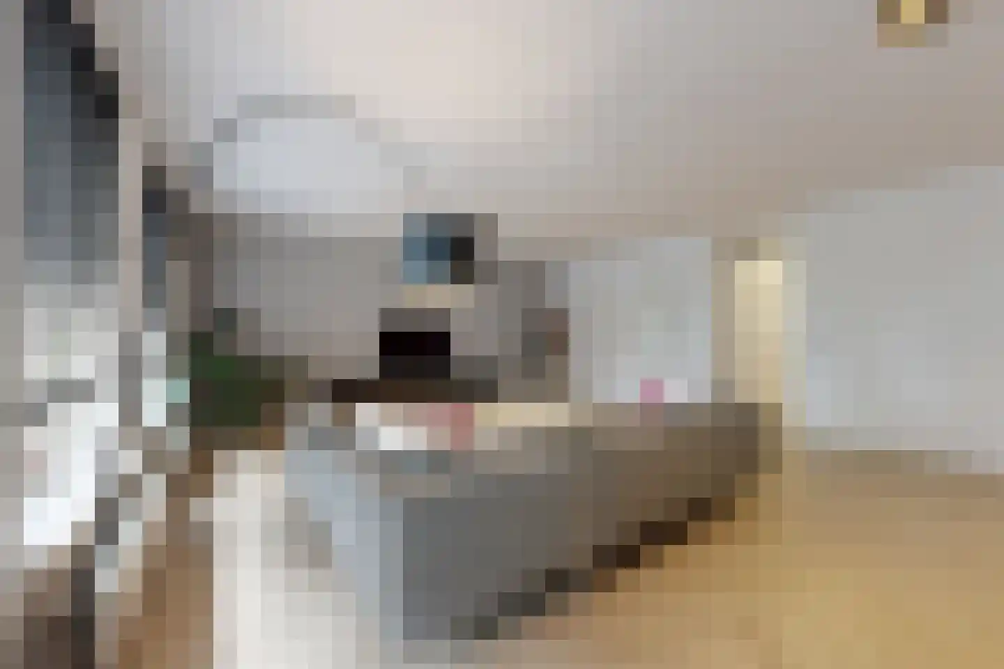 Liesbosstraat 38 Breda thumbnail 19