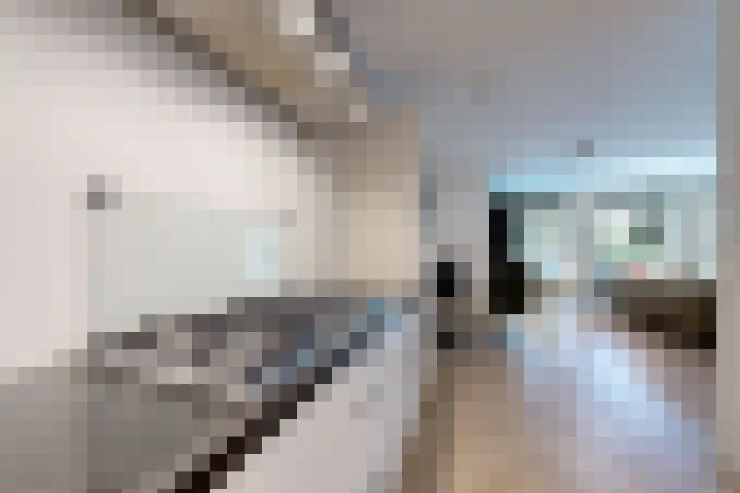 Liesbosstraat 38 Breda thumbnail 28