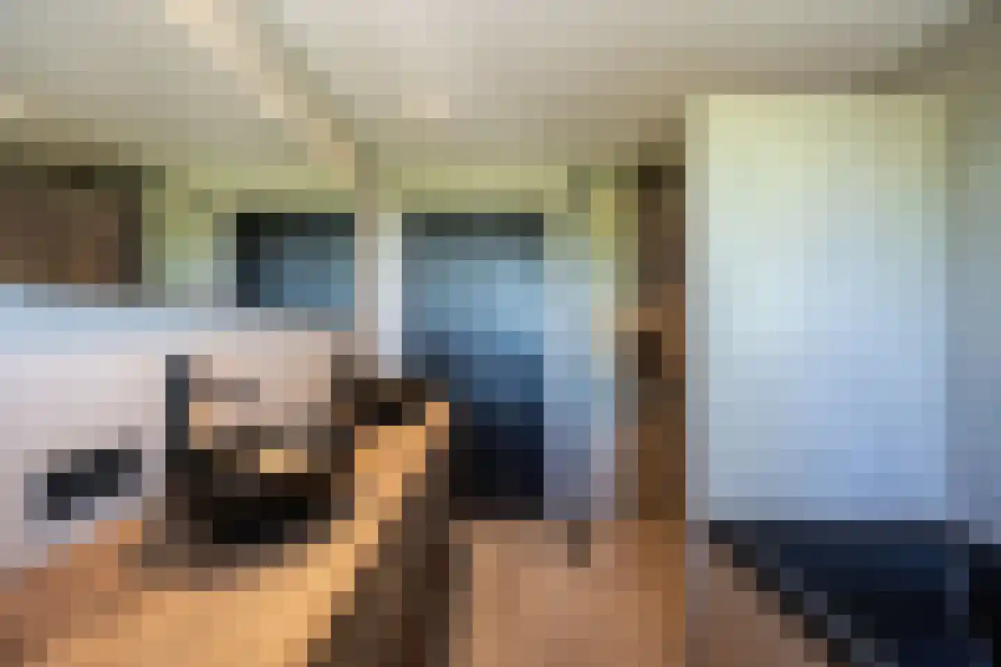 Liesbosweg 178 Etten-Leur thumbnail 32