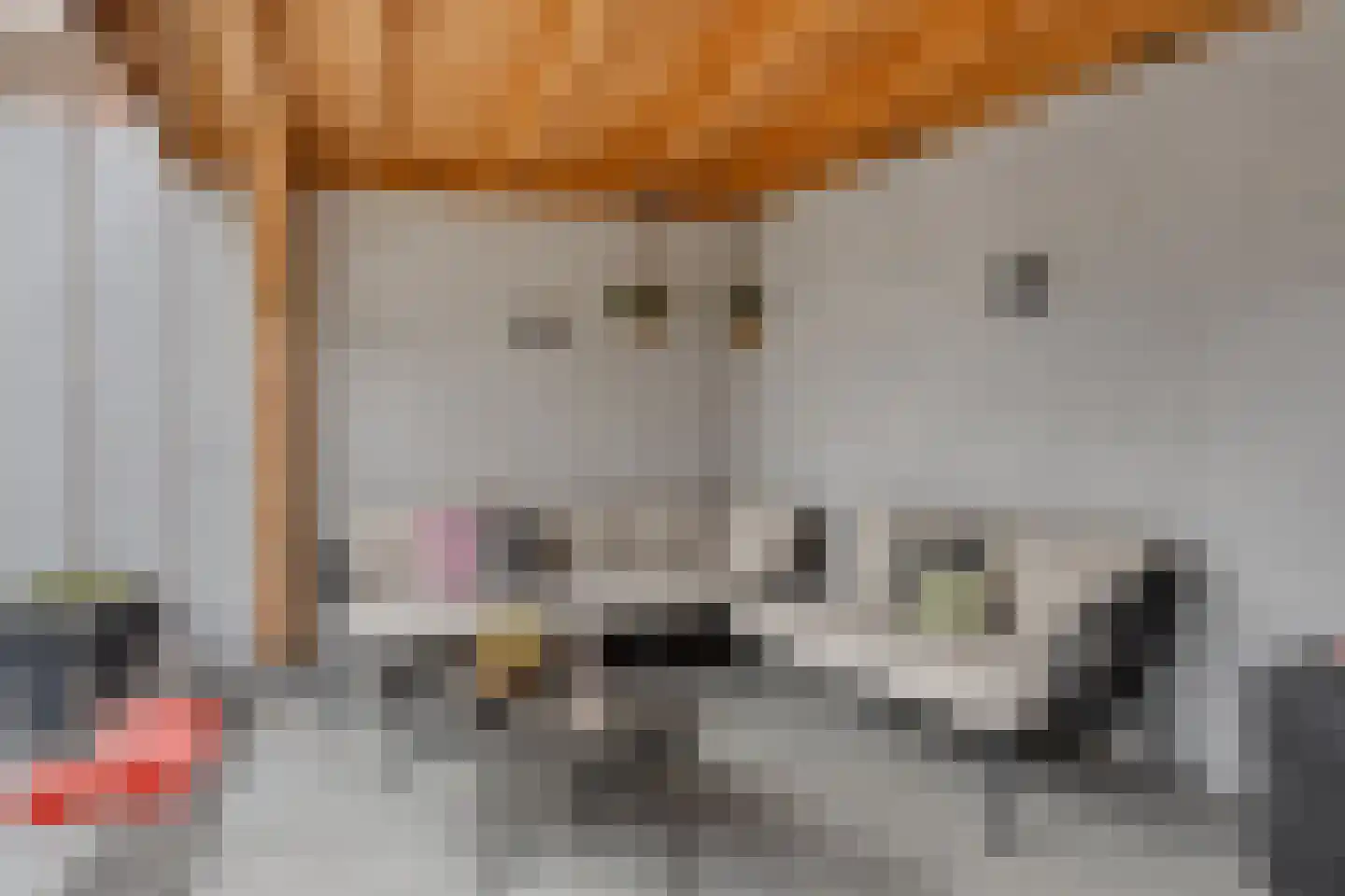 Liesbosweg 178 Etten-Leur thumbnail 44