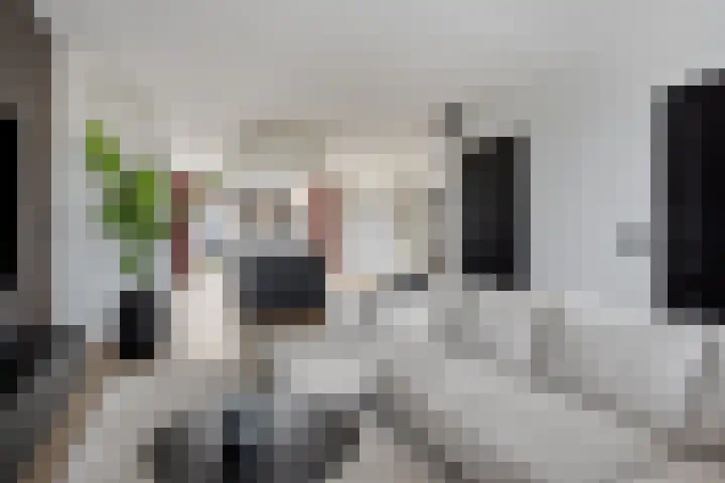 Liesbosweg 178 Etten-Leur thumbnail 9