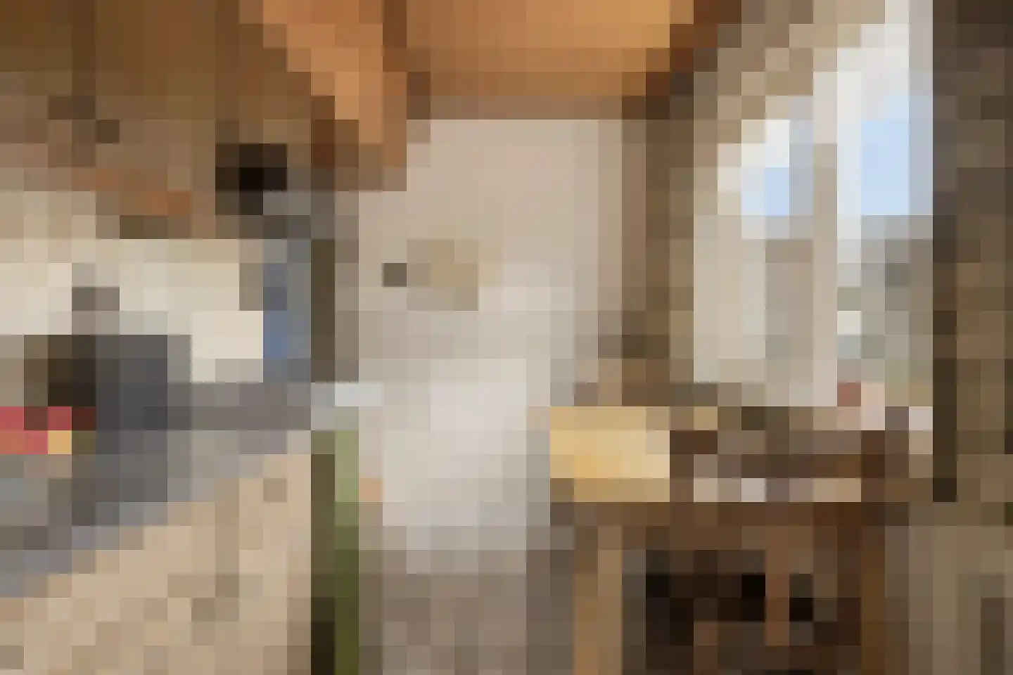 Liesbosweg 224 Etten-Leur thumbnail 10