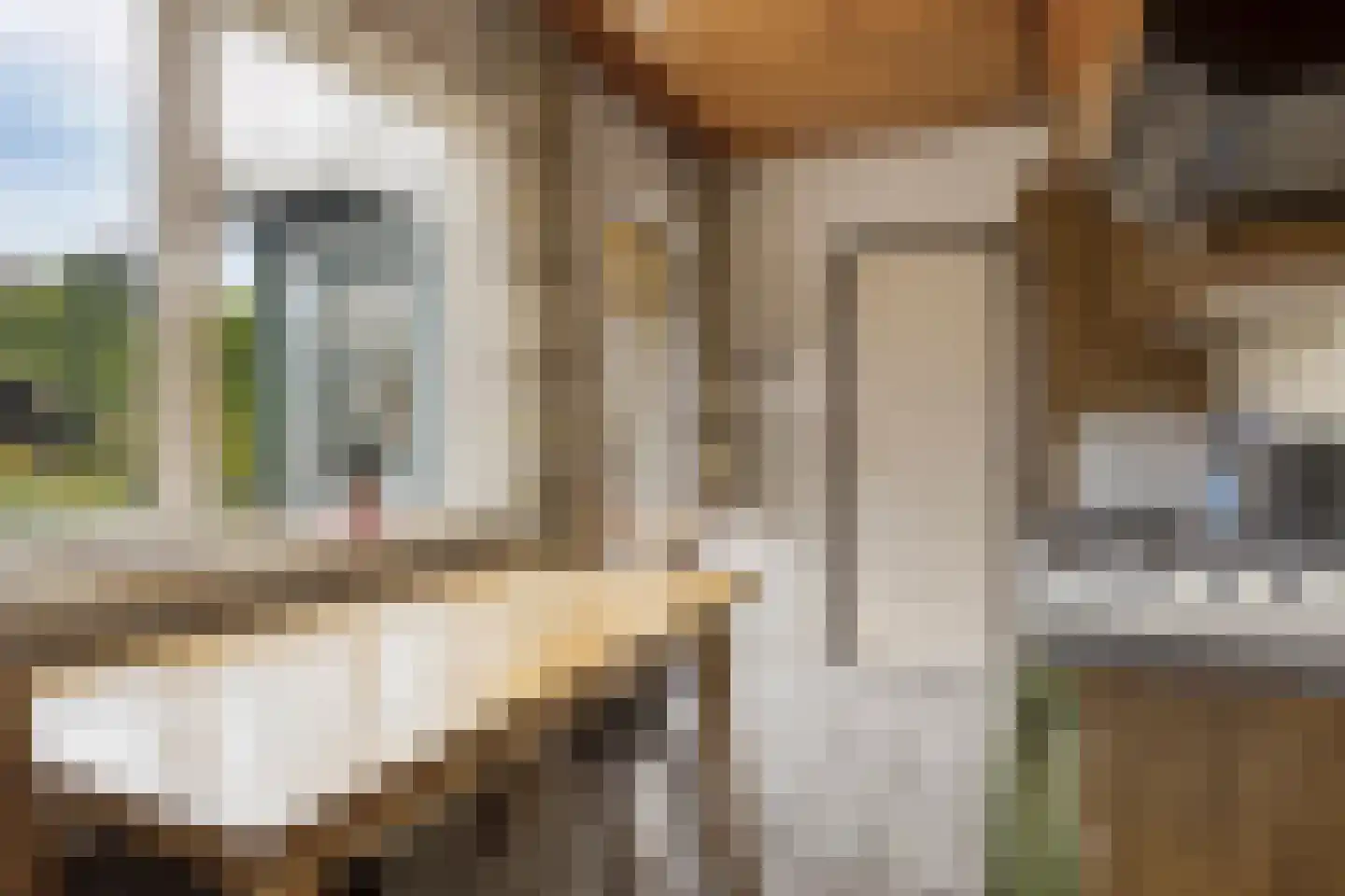 Liesbosweg 224 Etten-Leur thumbnail 11