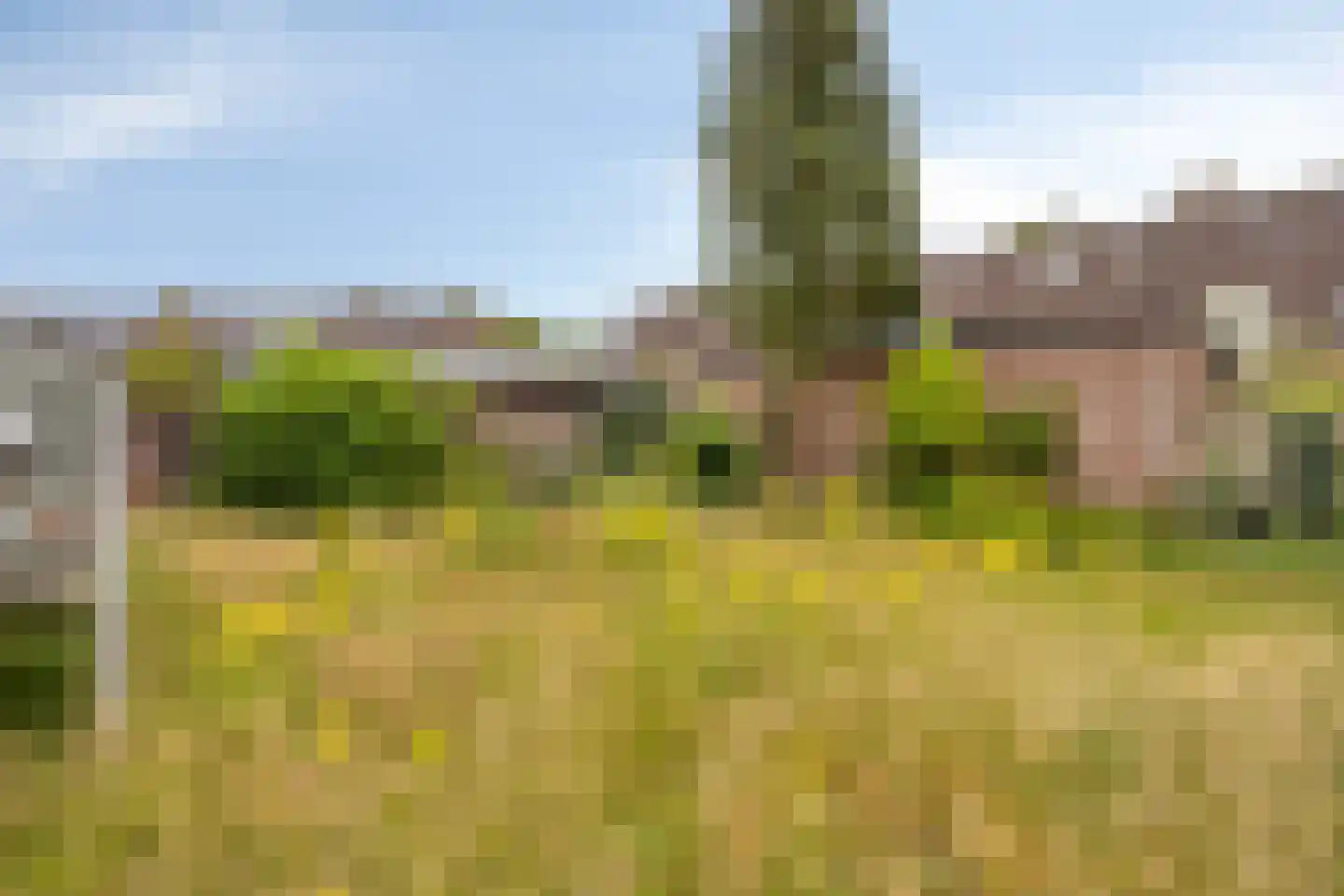 Liesbosweg 224 Etten-Leur thumbnail 19