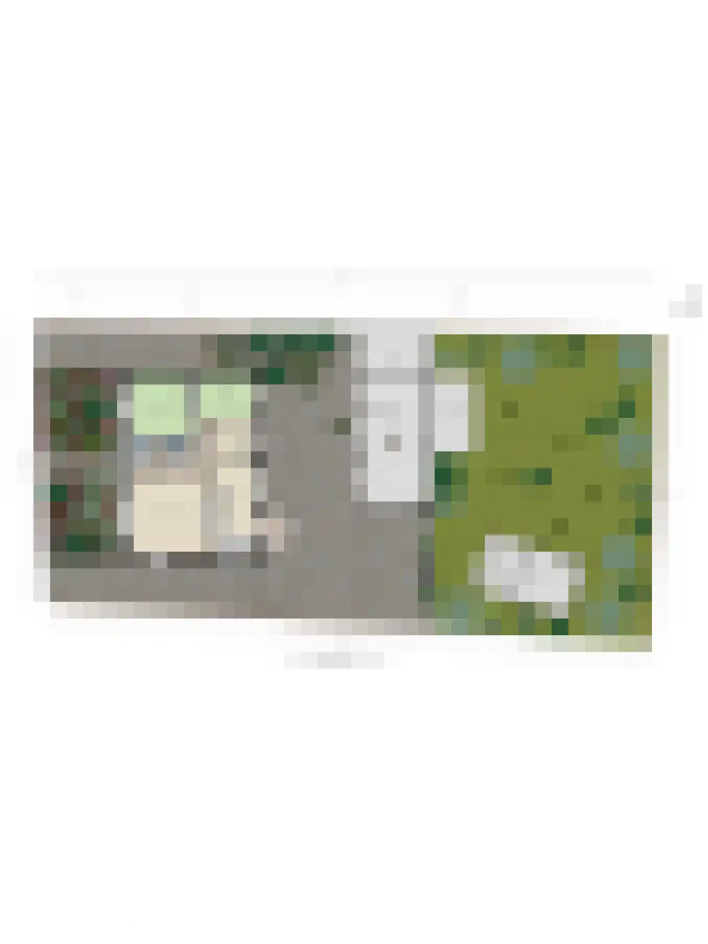 Liesbosweg 224 Etten-Leur thumbnail 20