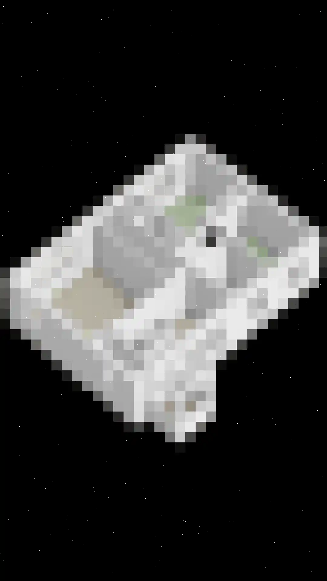 Liesbosweg 224 Etten-Leur thumbnail 23