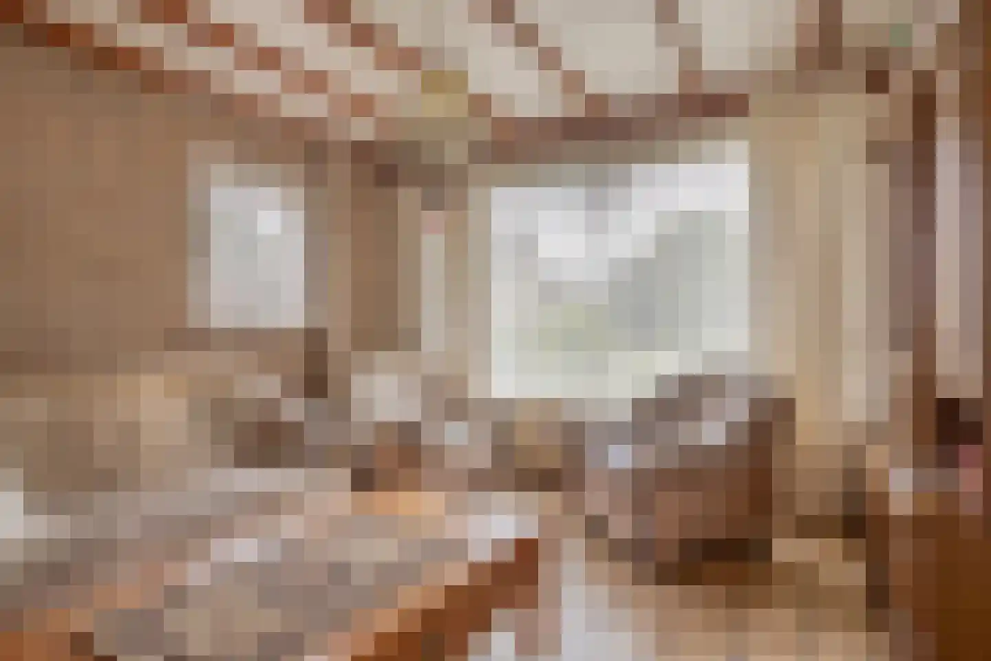 Liesbosweg 224 Etten-Leur thumbnail 8