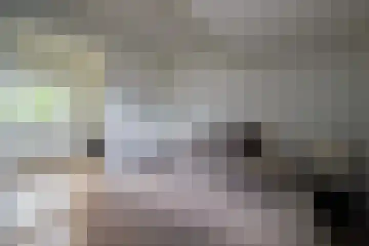 Liesbosweg 71 BSA Utrecht thumbnail 28
