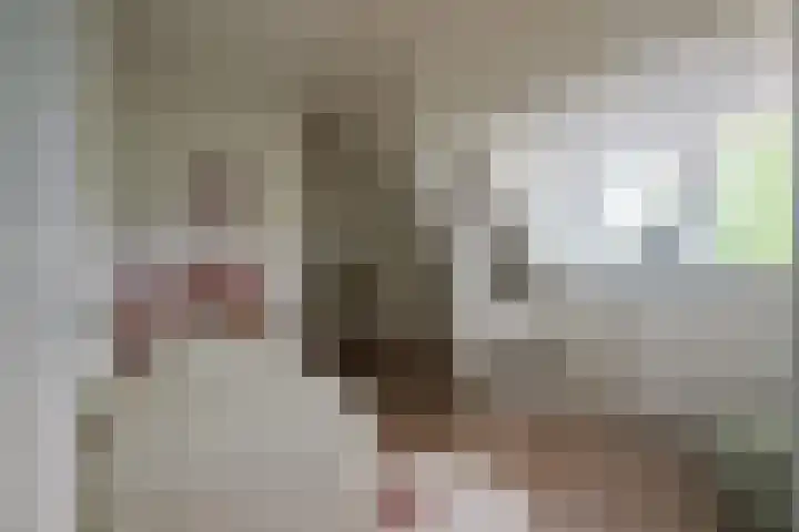 Liesbosweg 71 BSA Utrecht thumbnail 37