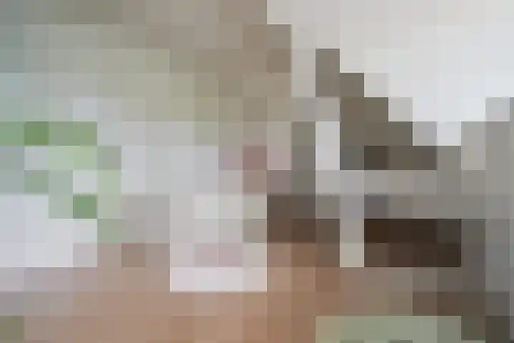 Liesbosweg 71 BSA Utrecht thumbnail 39
