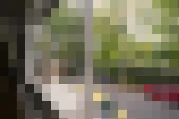 Liesbosweg 71 BSA Utrecht thumbnail 5