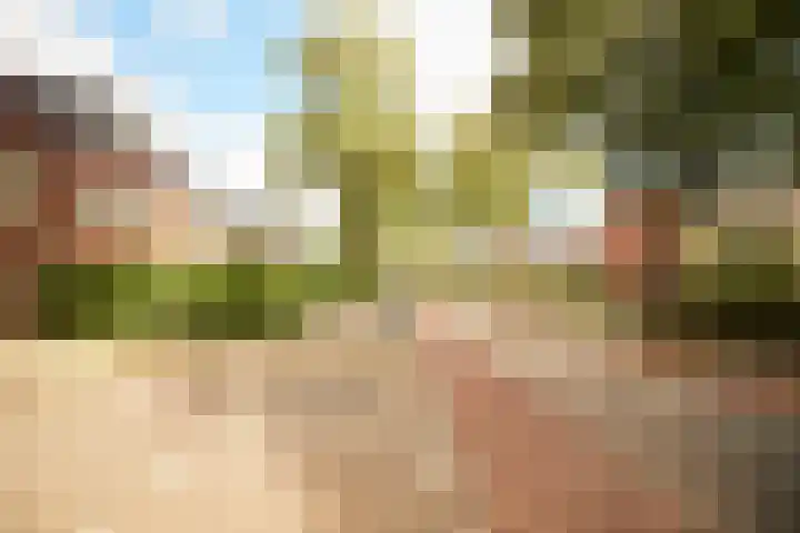 Liesbosweg 71 BSA Utrecht thumbnail 50