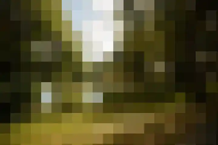 Liesbosweg 71 BSA Utrecht thumbnail 51