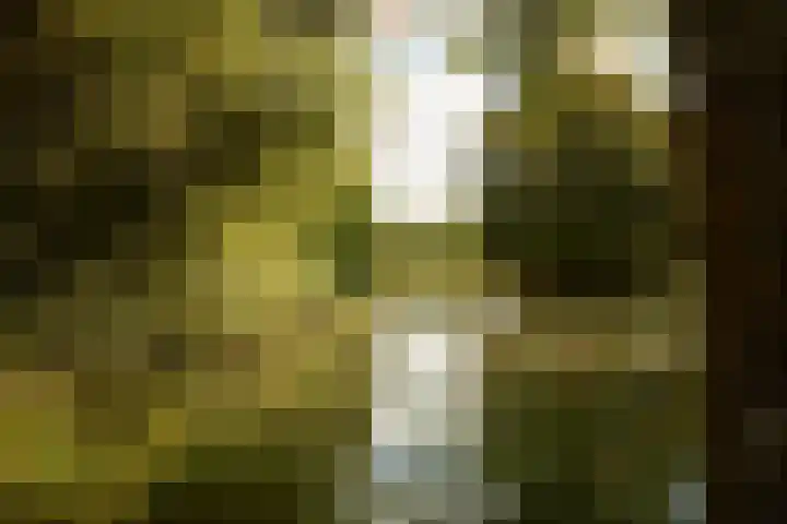 Liesbosweg 71 BSA Utrecht thumbnail 52