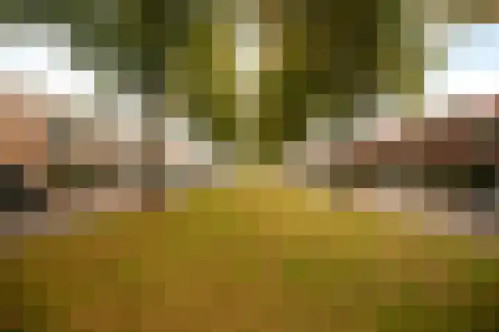 Liesbosweg 71 BSA Utrecht thumbnail 53