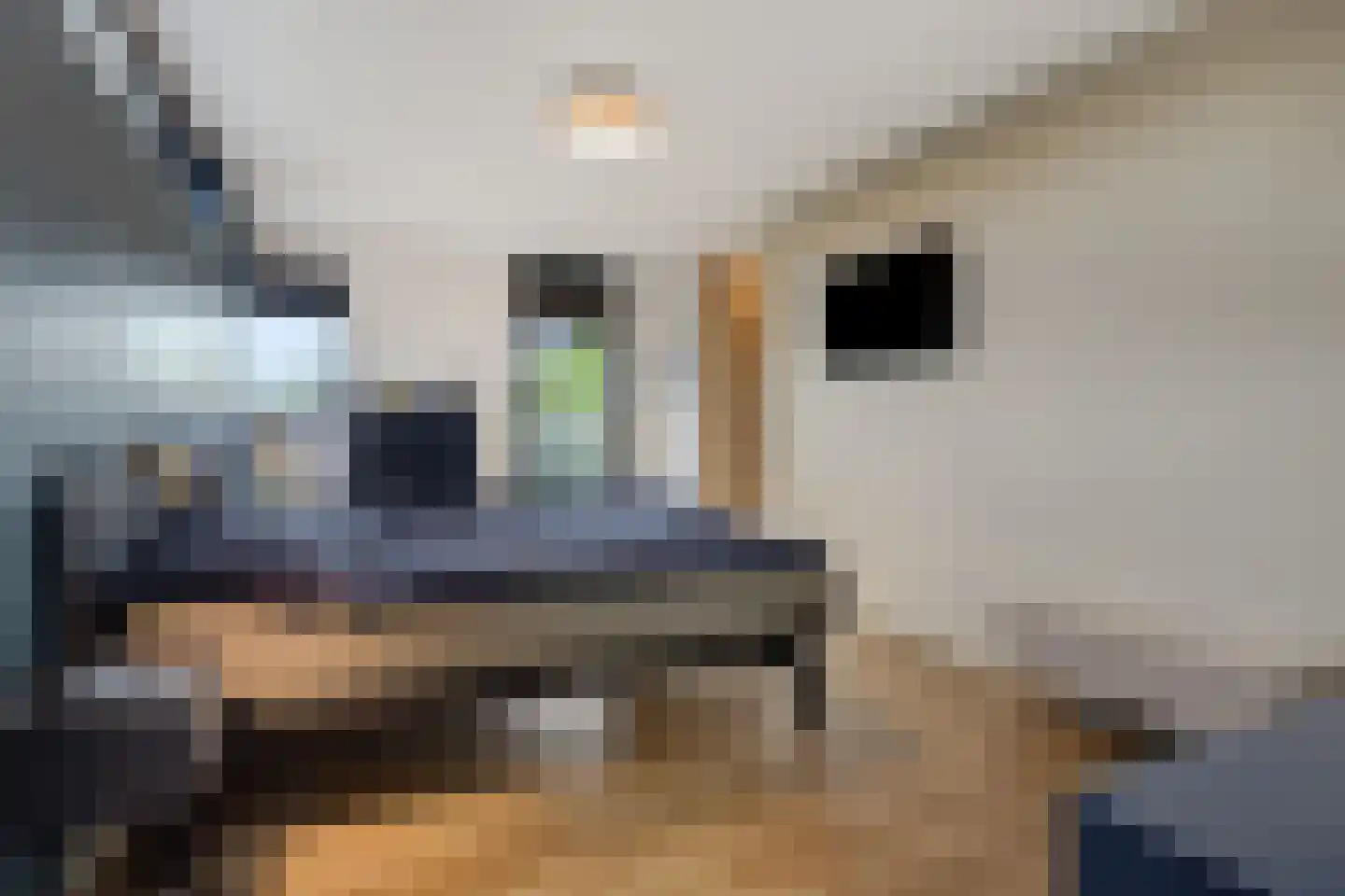 Liesdaalweg 1 Maren-Kessel thumbnail 24