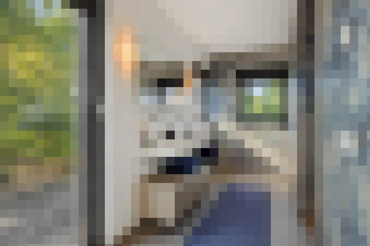 Liesdaalweg 1 Maren-Kessel thumbnail 27