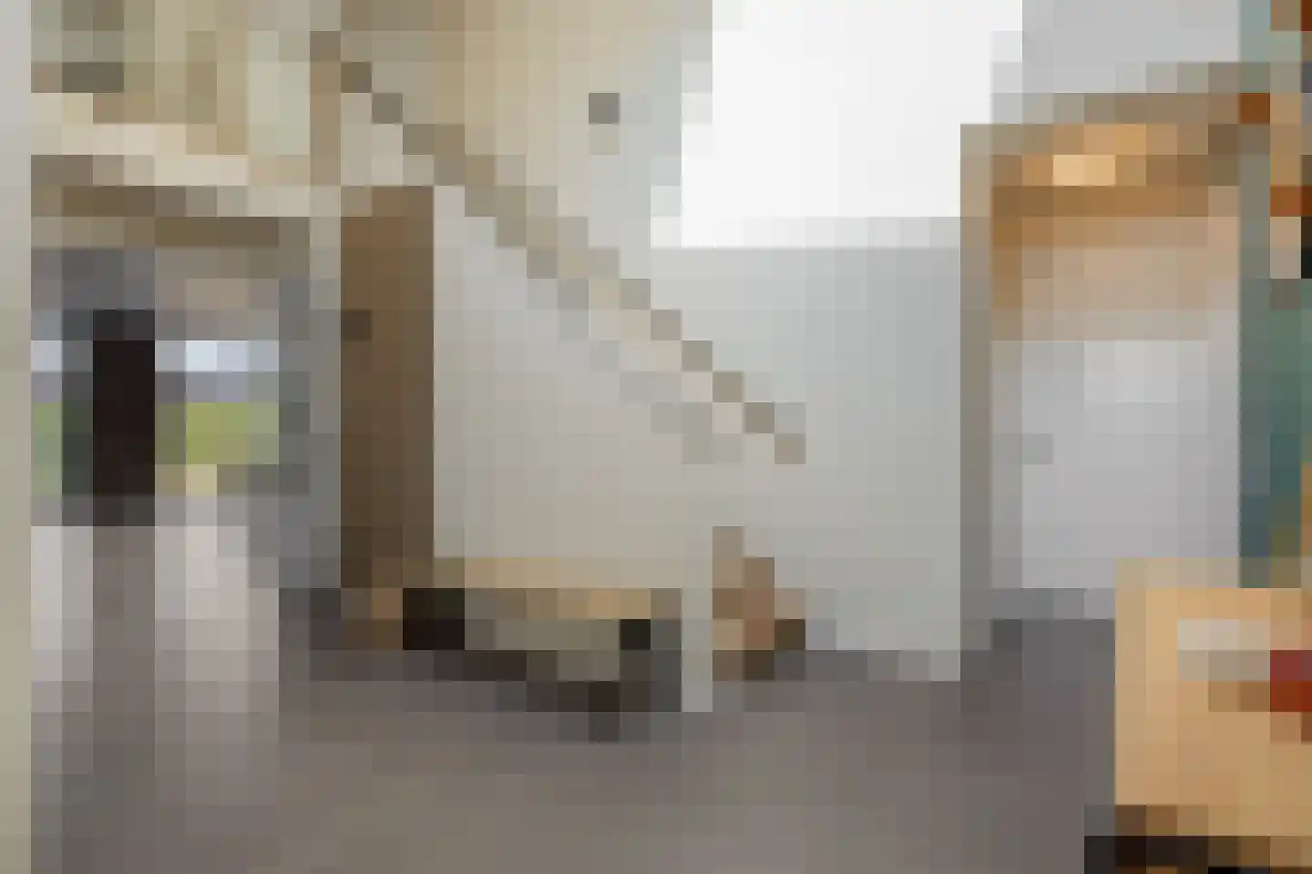 Liesdaalweg 1 Maren-Kessel thumbnail 30