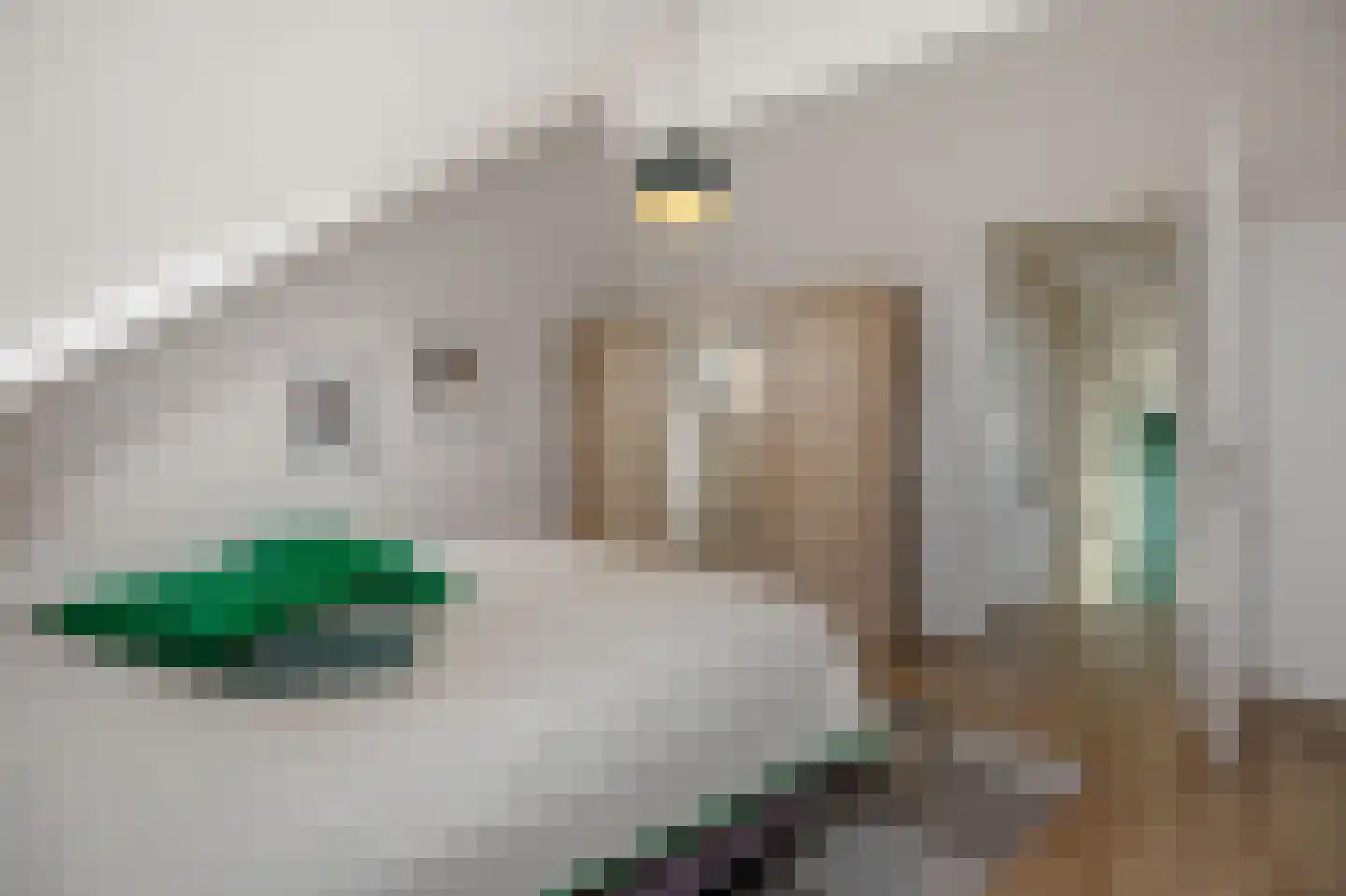 Liesdaalweg 1 Maren-Kessel thumbnail 38