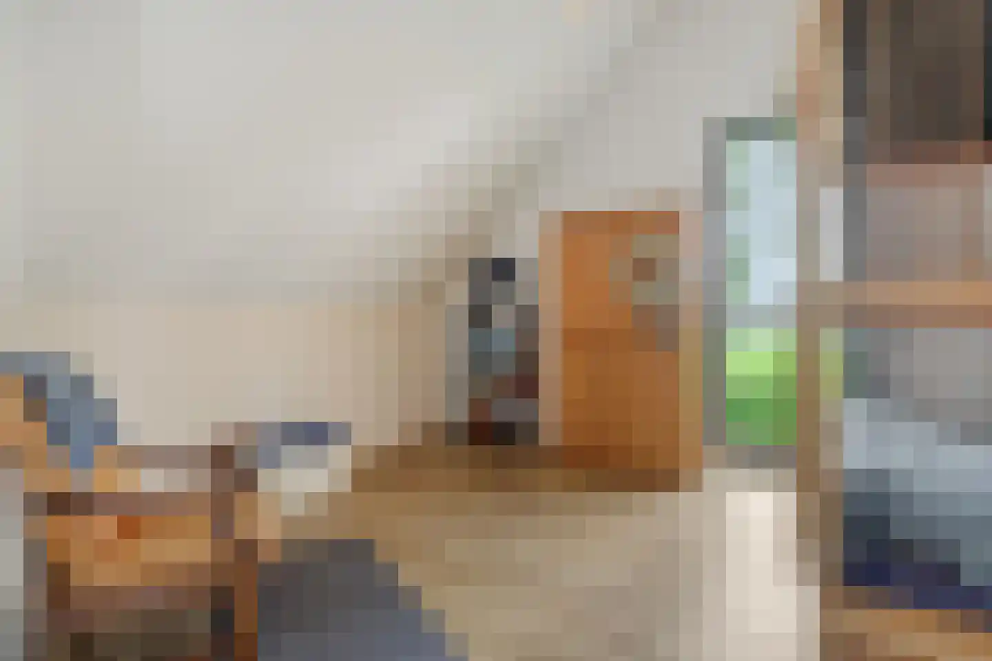 Liesdaalweg 1 Maren-Kessel thumbnail 40
