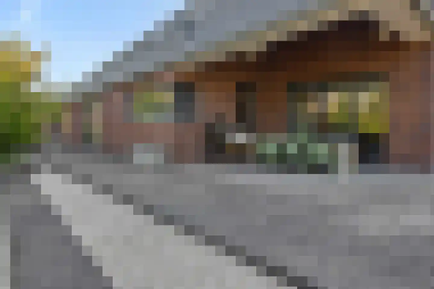 Liesdaalweg 1 Maren-Kessel thumbnail 51