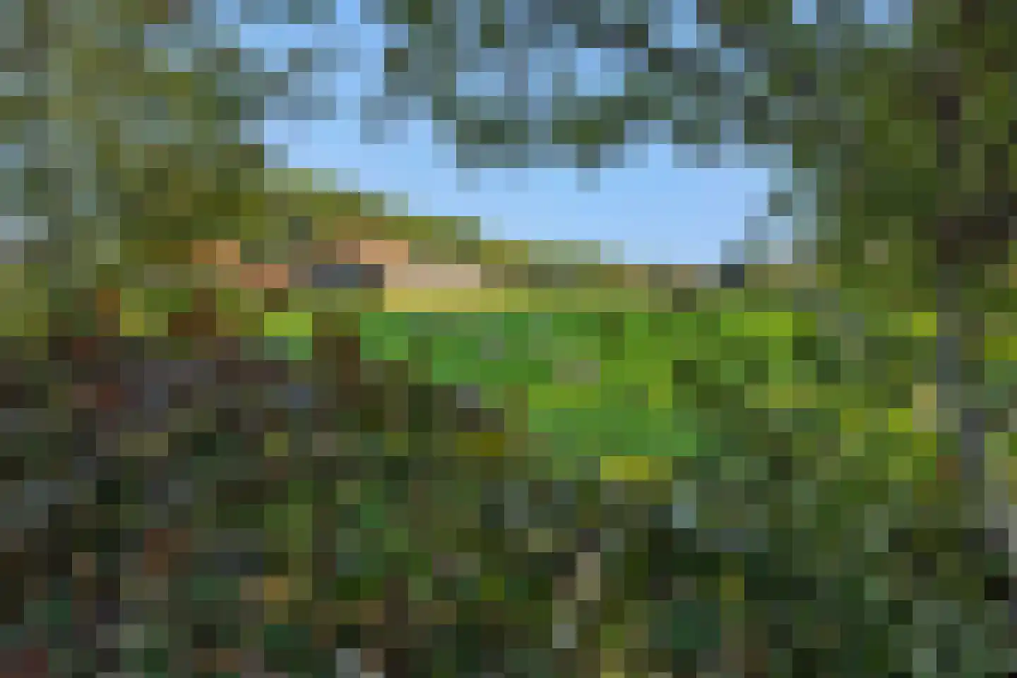 Liesdaalweg 1 Maren-Kessel thumbnail 61